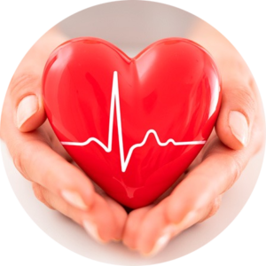 Cardiovascular